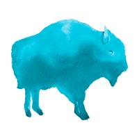 Team Buffalo logo, Team Buffalo contact details