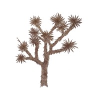 Joshua Tree Counseling logo, Joshua Tree Counseling contact details