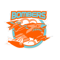 Bomber Academy logo, Bomber Academy contact details