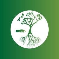 Floresta Cheia Instituto de Conservação Ambiental logo, Floresta Cheia Instituto de Conservação Ambiental contact details