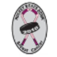 Hockey Beats Down Breast Cancer logo, Hockey Beats Down Breast Cancer contact details