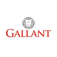 Gallant Corporate Services LLC logo, Gallant Corporate Services LLC contact details