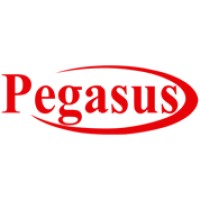 Pegasus Turnkey Solution Pvt. Ltd logo, Pegasus Turnkey Solution Pvt. Ltd contact details