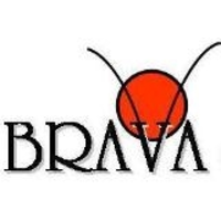 Brava Consultoria e Treinamento logo, Brava Consultoria e Treinamento contact details