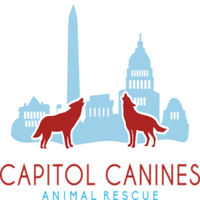 Capitol Canines Animal Rescue logo, Capitol Canines Animal Rescue contact details