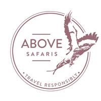 Above Safaris logo, Above Safaris contact details