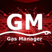 Grupo Gas Manager S.A. de C.V. logo, Grupo Gas Manager S.A. de C.V. contact details