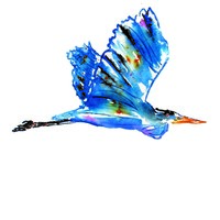 Blue Heron Talent logo, Blue Heron Talent contact details