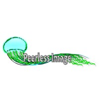 Peerless Image logo, Peerless Image contact details