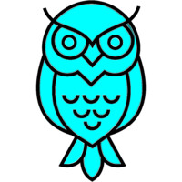 Debug Owl logo, Debug Owl contact details