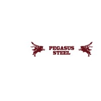 Pegasus Steel South Africa logo, Pegasus Steel South Africa contact details