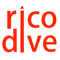 Ricodive Systems logo, Ricodive Systems contact details