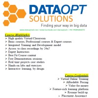 DataOpt Solutions logo, DataOpt Solutions contact details