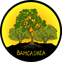 BamCashea logo, BamCashea contact details