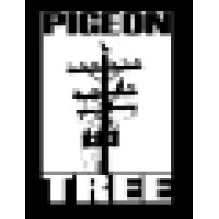 Pigeon Tree Productions logo, Pigeon Tree Productions contact details