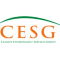 CESG - Shanghai logo, CESG - Shanghai contact details