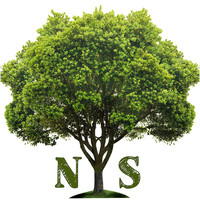 Natural Systems LLC logo, Natural Systems LLC contact details