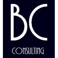 Brito Consultores logo, Brito Consultores contact details