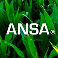 ANSA logo, ANSA contact details