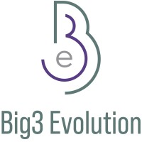 Big3 Evolution (Pty) Ltd logo, Big3 Evolution (Pty) Ltd contact details