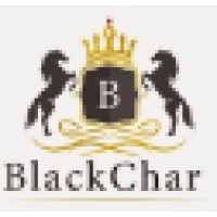 BlackChar Consulting & Research logo, BlackChar Consulting & Research contact details