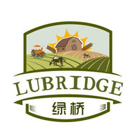 Lubridge Solutions International logo, Lubridge Solutions International contact details