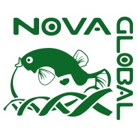 NovaGlobal Pte Ltd logo, NovaGlobal Pte Ltd contact details