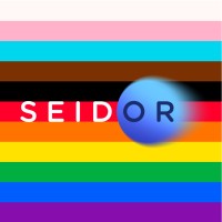 SEIDOR Chile logo, SEIDOR Chile contact details