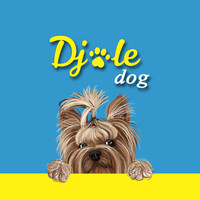 DJOLE.DOG logo, DJOLE.DOG contact details