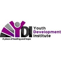 Youth Development Institute logo, Youth Development Institute contact details