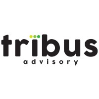 tribus advisory logo, tribus advisory contact details