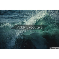 PEER Executive logo, PEER Executive contact details