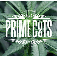 Prime Cuts Cannabis Nursery and Seed Bank logo, Prime Cuts Cannabis Nursery and Seed Bank contact details