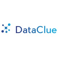 DataClue logo, DataClue contact details