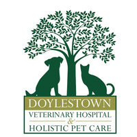 Doylestown Veterinary Hospital & Holistic Pet Care logo, Doylestown Veterinary Hospital & Holistic Pet Care contact details