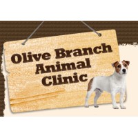 Olive Branch Animal Clinic logo, Olive Branch Animal Clinic contact details