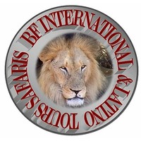 BF International & Latino Tours Safari logo, BF International & Latino Tours Safari contact details