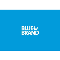 Blue Brand Marketing México logo, Blue Brand Marketing México contact details