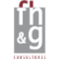 FH&G Consultores logo, FH&G Consultores contact details