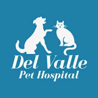 Del Valle Pet Hospital logo, Del Valle Pet Hospital contact details