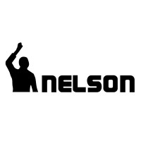 Nelson Innovations Pvt Ltd logo, Nelson Innovations Pvt Ltd contact details