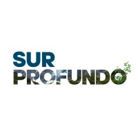 Sur Profundo logo, Sur Profundo contact details