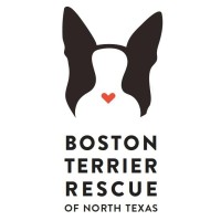 The Boston Terrier Rescue of North Texas logo, The Boston Terrier Rescue of North Texas contact details