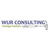 WUR CONSULTING S.R.L. logo, WUR CONSULTING S.R.L. contact details