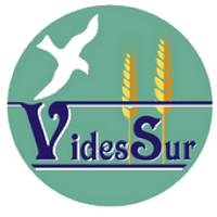 VidesSur ONGD logo, VidesSur ONGD contact details