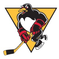 Wilkes-Barre/Scranton Penguins logo, Wilkes-Barre/Scranton Penguins contact details