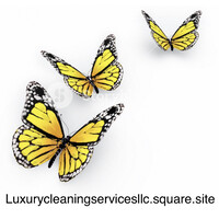 Luxury Cleaning Services LLC logo, Luxury Cleaning Services LLC contact details