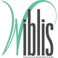 Wiblis logo, Wiblis contact details