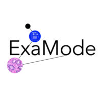 ExaMode logo, ExaMode contact details