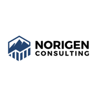 Norigen Consulting logo, Norigen Consulting contact details